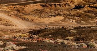 你永远可以相信梅西！